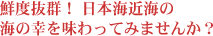 �N�x���Q! ���{�C�ߊC�̊C�̍K�𖡂���Ă݂܂���?